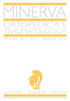 Minerva ortopedica