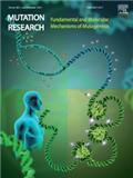 MUTATION RESEARCH-FUNDAMENTAL AND MOLECULAR MECHANISMS OF MU