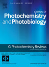 JOURNAL OF PHOTOCHEMISTRY AND PHOTOBIOLOGY C-PHOTOCHEMISTRY