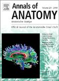 ANNALS OF ANATOMY-ANATOMISCHER ANZEIGER