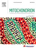 MITOCHONDRION