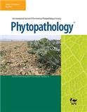 <b>PHYTOPATHOLOGY</b>