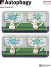 <b>Autophagy</b>